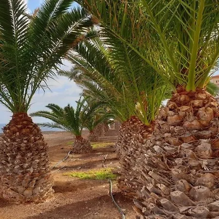 Stunning 4-p Family Apartment Caleta de Fuste Apartamento